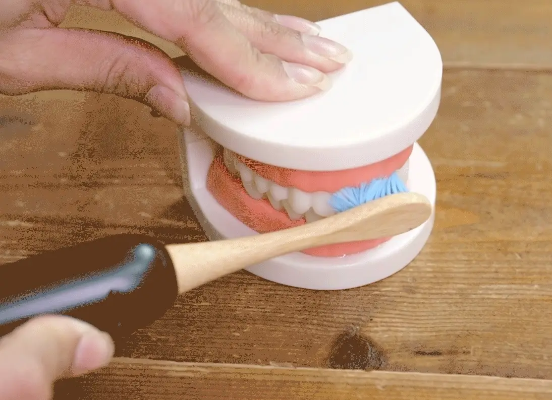Sonic Electric Toothbrush - Image 8